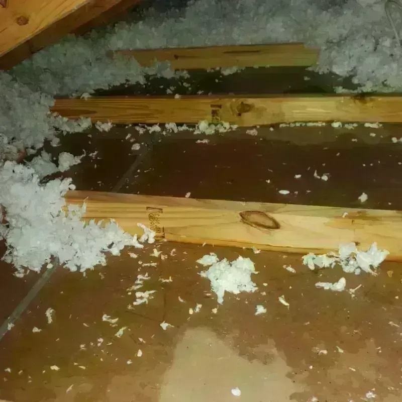 Attic Water Damage in Motley, VA